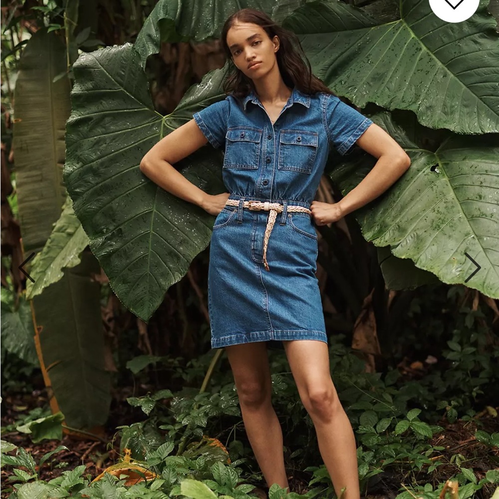 Madewell Denim Dress